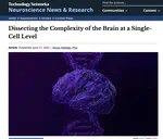 Dissecting the Complexity of the Brain at a Single-Cell Level – Sarah interviewed for Technology Networks